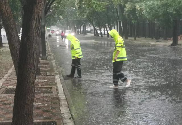 防汛常規(guī)物資中主要包含麻袋吸水膨脹袋,無紡布吸水膨脹袋,防汛沙袋,防汛噸袋,防汛編織袋,雨衣,雨靴,雨傘,彩條布,工兵鏟,十字鎬,八磅錘,應急救生包等。