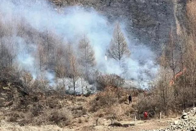 明火已撲滅，初步判斷由祭祀用火引發(fā)！今年已發(fā)生多起